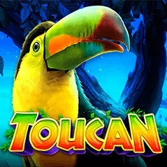 Toucan